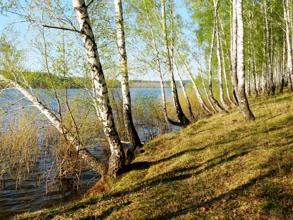 Nature Altaya — Stock Image Nature Altaya Stock Picture
