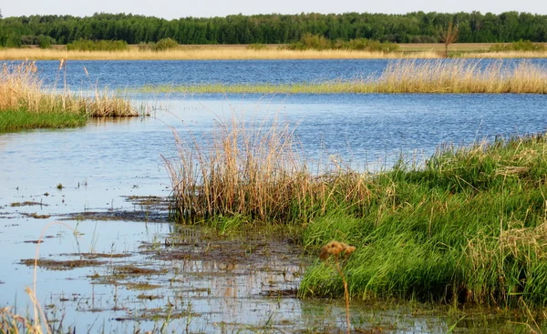 Natuur altaya — Stockfoto