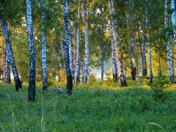 Natuur altaya — Stockfoto