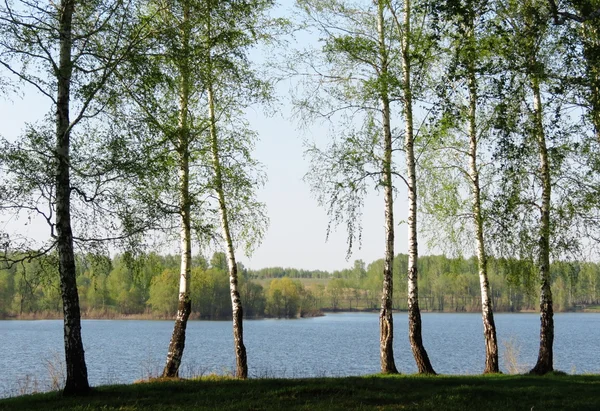 Nature Altaya — Stock Image Nature Altaya Stock Photo
