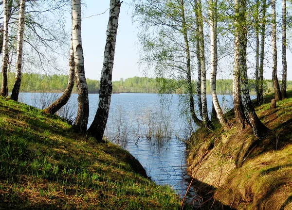 Nature Altaya — Stock Image Nature Altaya Royalty Free Stock Images