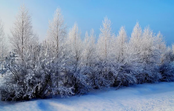 Natuur altaya — Stockfoto