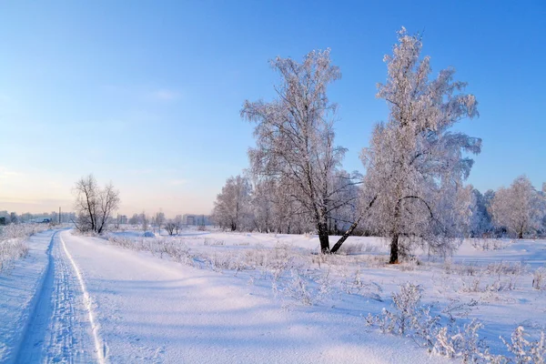 Altaya-naturen – stockfoto