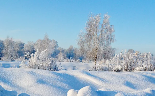 Natur altaya — Stockfoto