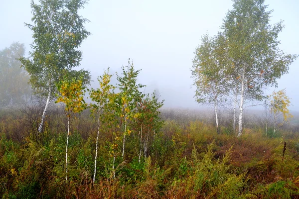 Vägar altaya — Stockfoto