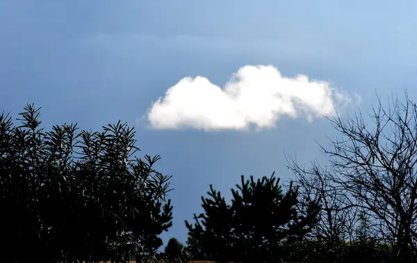 Natuur altaya — Stockfoto