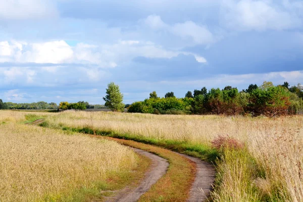 Natur altaya — Stockfoto