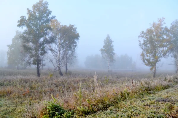 Altaya-naturen – stockfoto