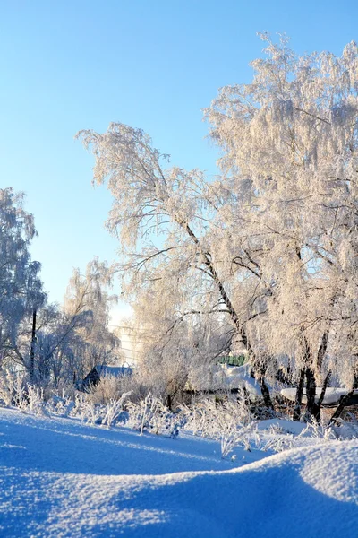 Natura altaya — Zdjęcie stockowe