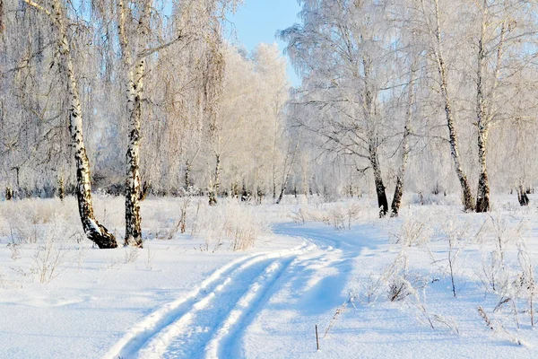 Natuur altaya — Stockfoto