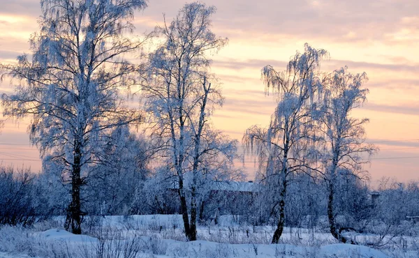 Natuur altaya — Stockfoto