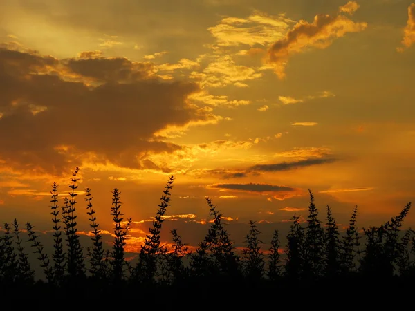 Natuur altaya — Stockfoto