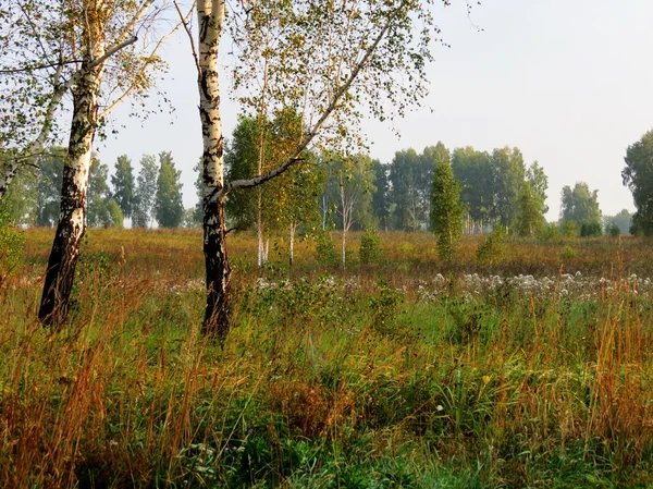 Naturaleza Altaya —  Fotos de Stock