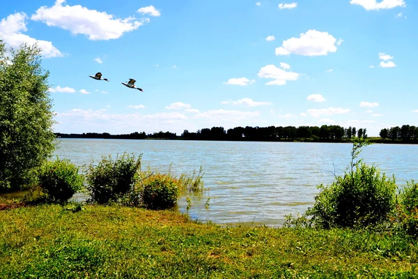 Naturaleza Altaya — Foto de Stock