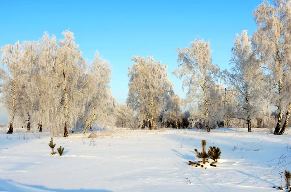 Doğa altaya — Stok fotoğraf