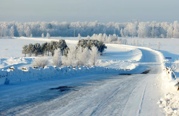 Natura altaya — Zdjęcie stockowe