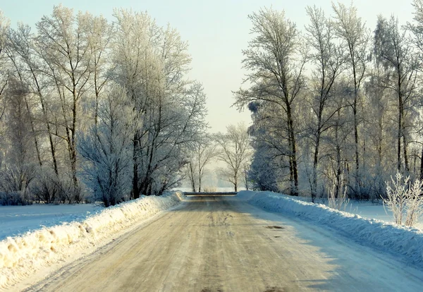Nature Altaya — Stock Image Nature Altaya Stock Photo