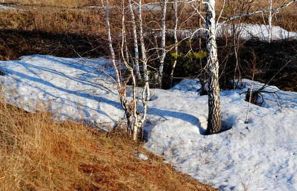 Nature Altaya — Stock Image Nature Altaya Stock Image