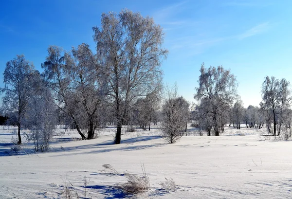 Natuur altaya — Stockfoto