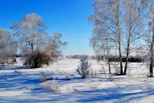 Natuur altaya — Stockfoto