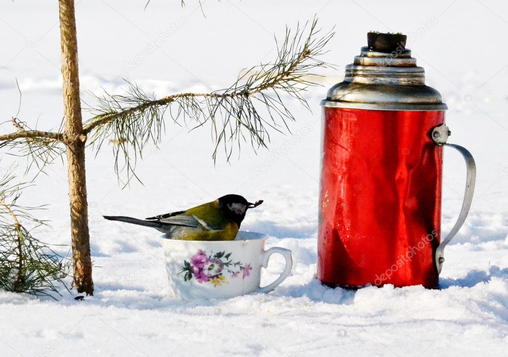 Birds of the steppes