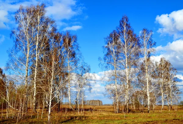 Naturaleza Altaya —  Fotos de Stock