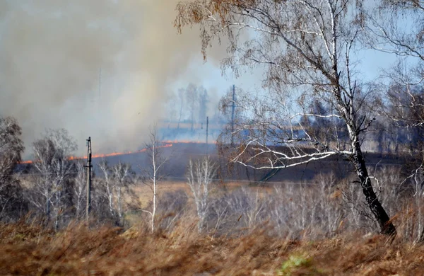 Incendi naturali — Foto Stock