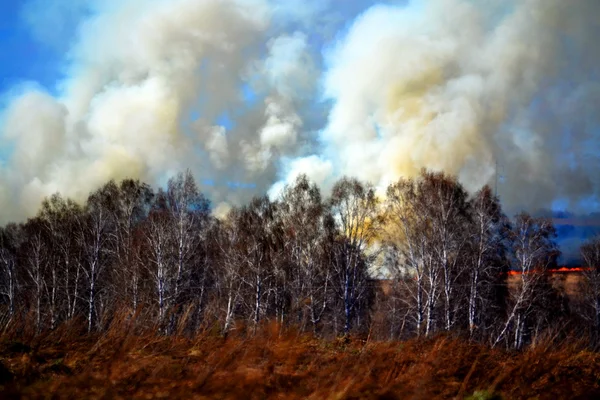 Fuegos naturales —  Fotos de Stock