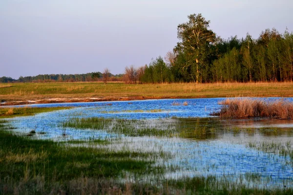 Nature Altaya — Stock Image Nature Altaya Stock Image