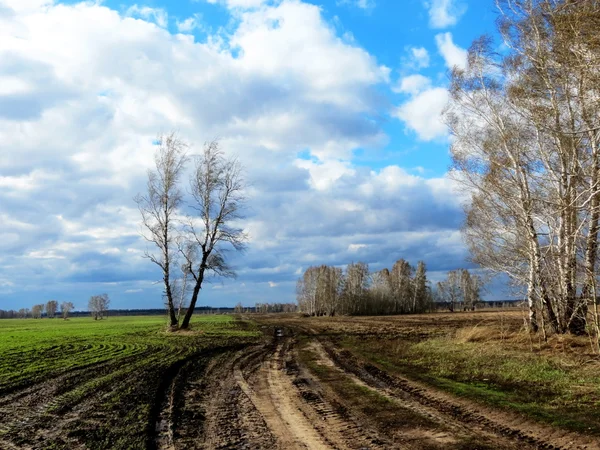 Natuur altaya — Stockfoto