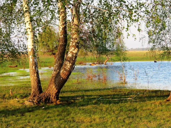 Naturaleza Altaya — Foto de Stock