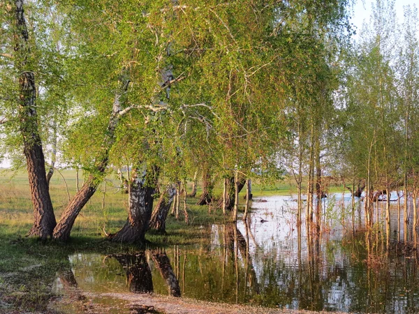 Nature Altaya — Stock Image Nature Altaya Stock Photo