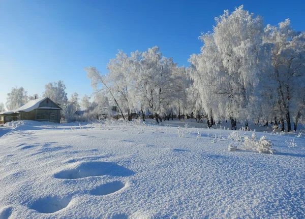 Natuur altaya — Stockfoto