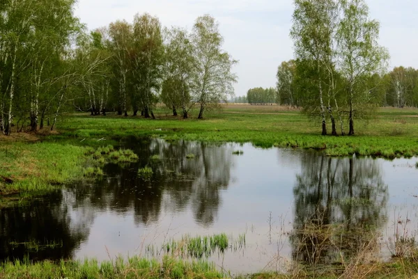 Natuur altaya — Stockfoto