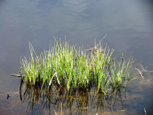 Natuur altaya — Stockfoto