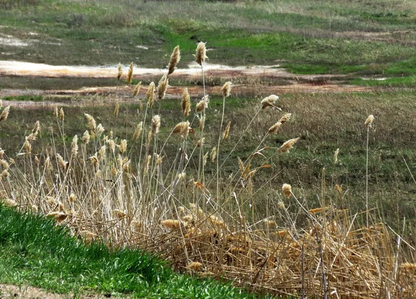 Natuur altaya — Stockfoto