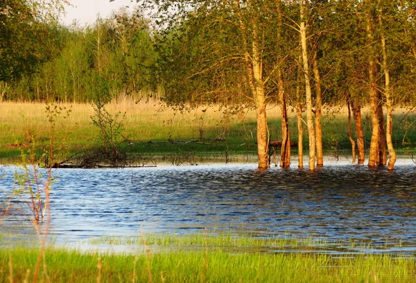 Természet altaya — Stock Fotó