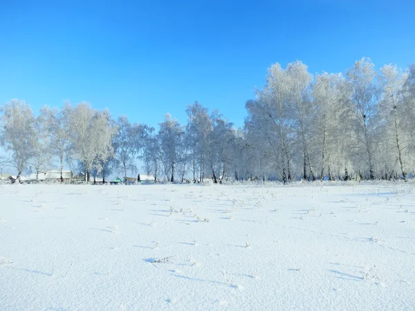 Fragment av den mänskliga kroppen — Stockfoto