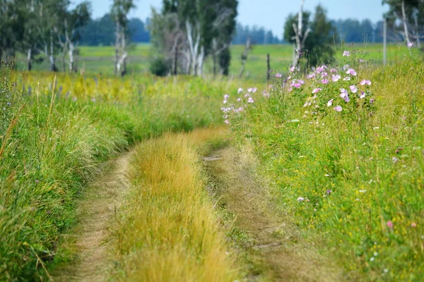 Natuur altaya — Stockfoto