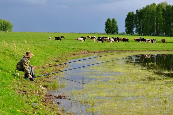 Příroda altaya — Stock fotografie