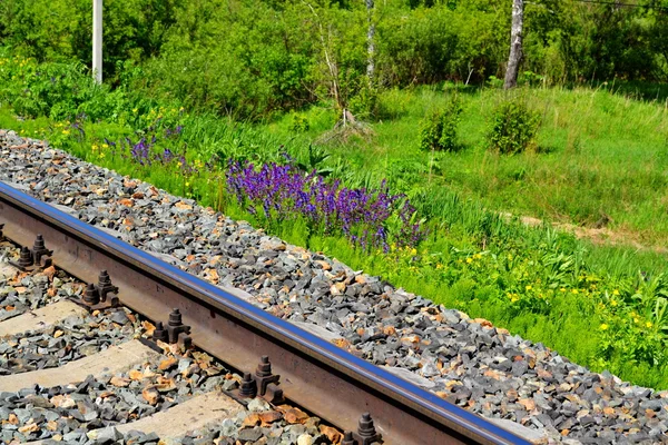 Yollar altaya — Stok fotoğraf