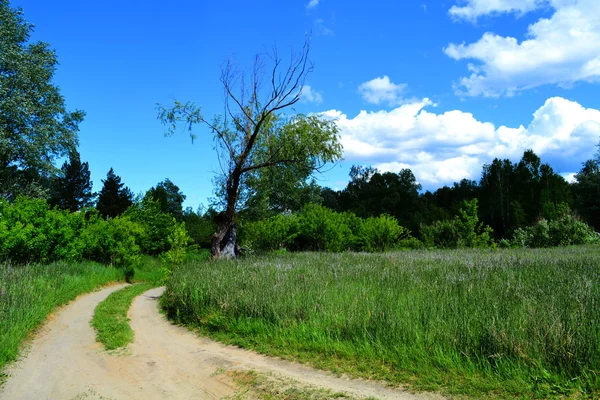 Natur altaya — Stockfoto