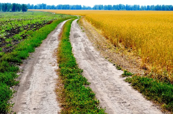 Landwirtschaft altaya — Stockfoto