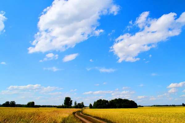 Agriculture Altaya — Stock Photo, Image