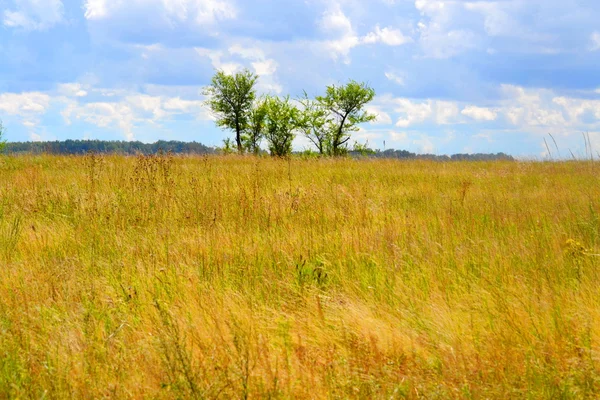 Natuur altaya — Stockfoto