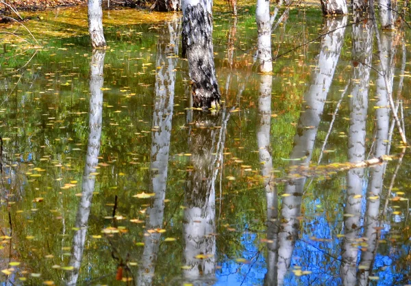 Naturaleza Altaya — Foto de Stock