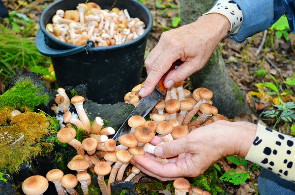 Fragmenten van het menselijk lichaam — Stockfoto