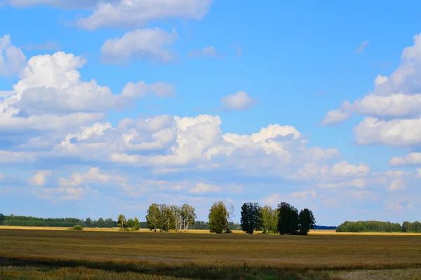 Natuur altaya — Stockfoto