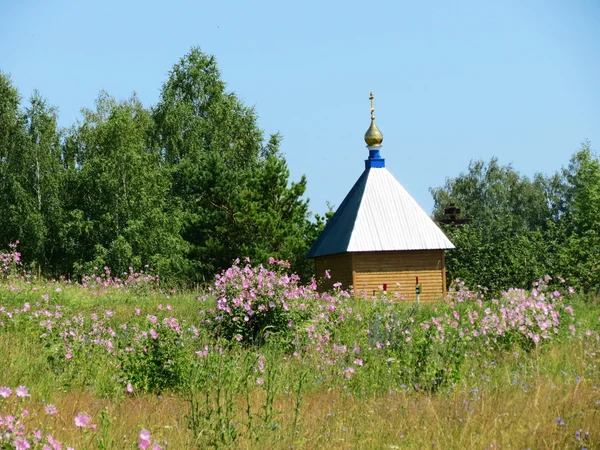 Natura altaya — Zdjęcie stockowe