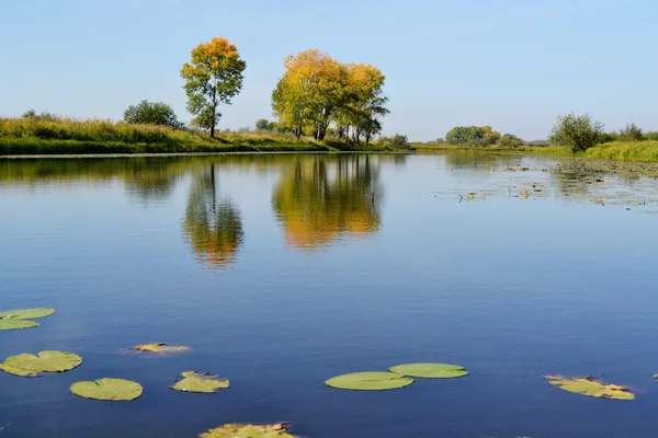 Természet altaya — Stock Fotó